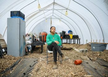 Detroit Entrepreneur Dazmonique Carr is Solidly Rooted in Detroit AG Space